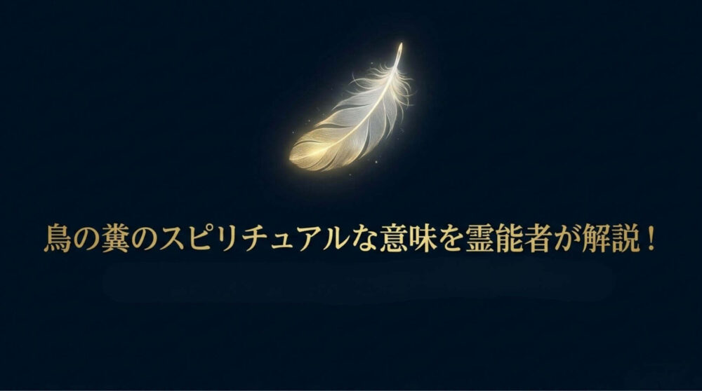 鳥の糞　スピリチュアル
