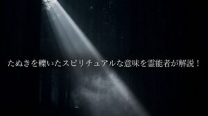 たぬきを轢いてしまった　スピリチュアル