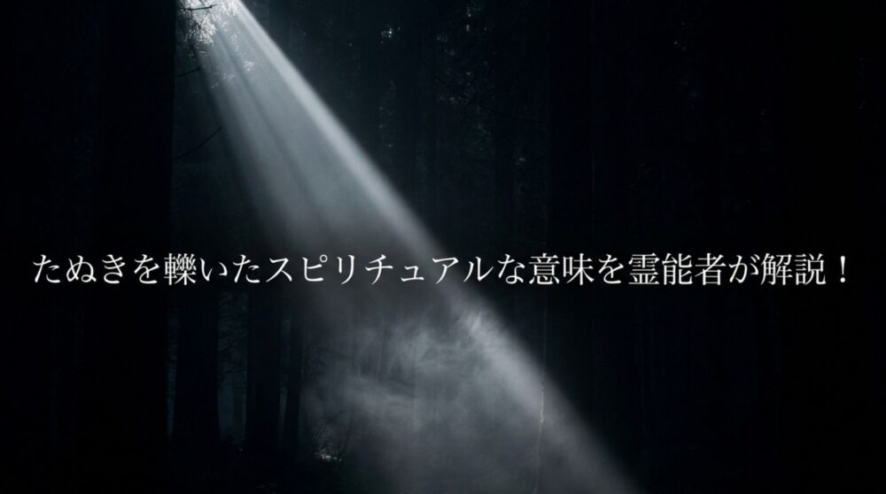たぬきを轢いてしまった　スピリチュアル