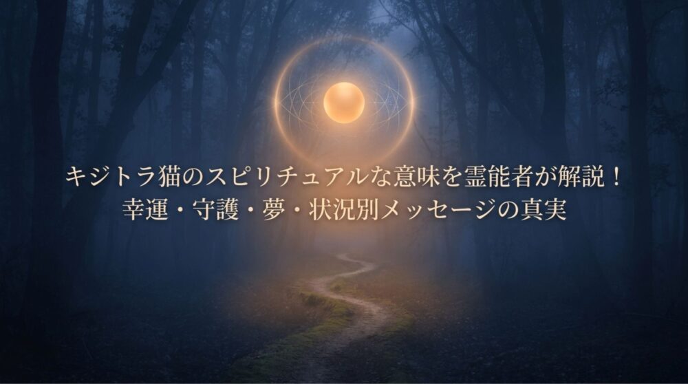 キジトラ猫　スピリチュアル
