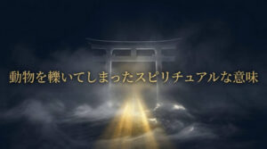 動物を轢いてしまった　スピリチュアル