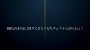 蜘蛛が目の前に降りてきたスピリチュアルな意味とは？」の文字と一筋の光のラインが入ったアイキャッチ画像