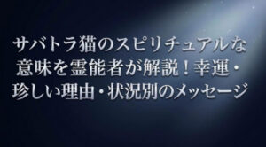 サバトラ猫　スピリチュアル