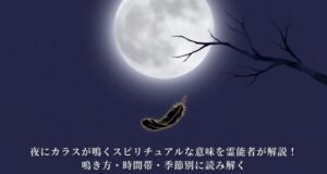 夜にカラスが鳴く　スピリチュアル