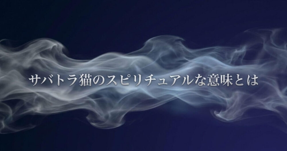 サバトラ猫　スピリチュアル　意味