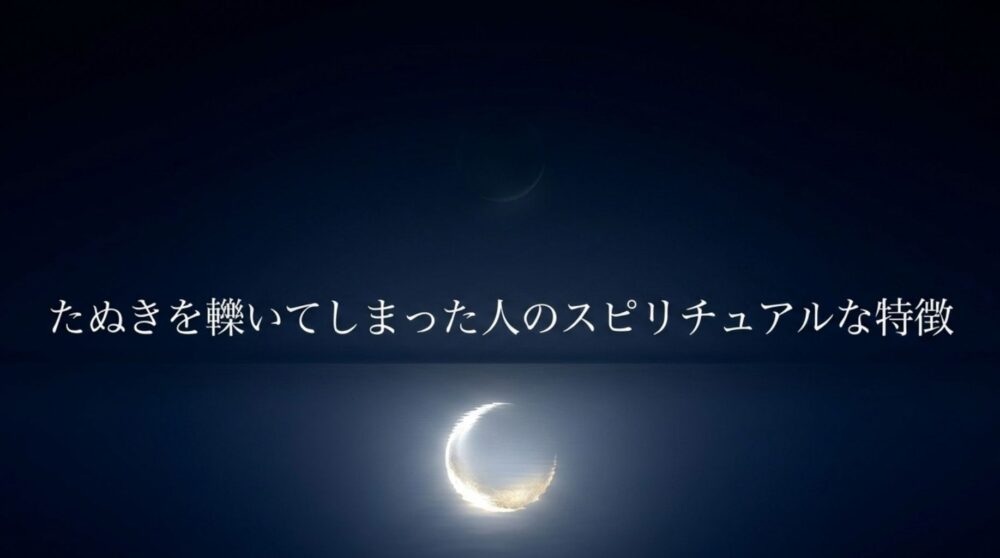 たぬきを轢いてしまった　スピリチュアル　特徴