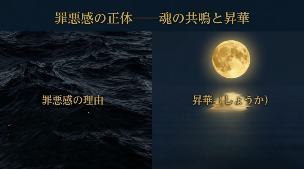 動物を轢いてしまった スピリチュアル 罪悪感