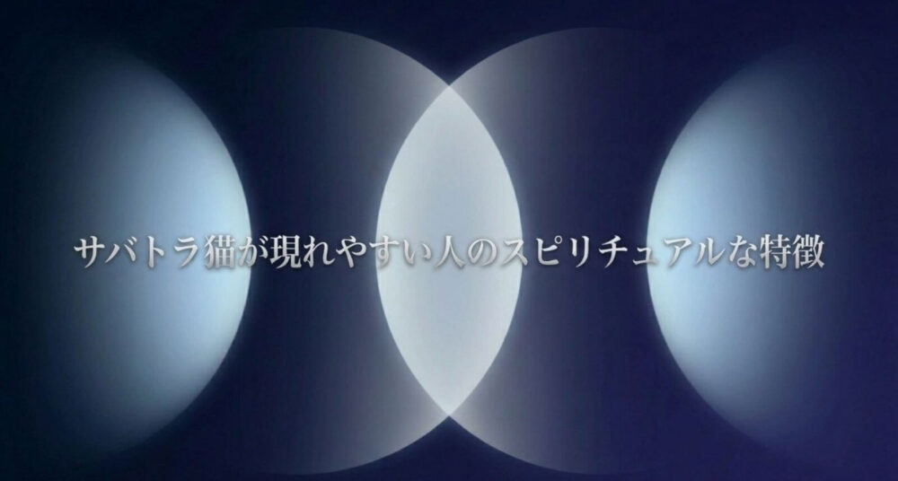 サバトラ猫　スピリチュアル　現れやすい人