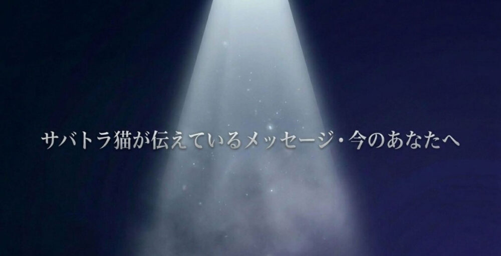 サバトラ猫　スピリチュアル　意味