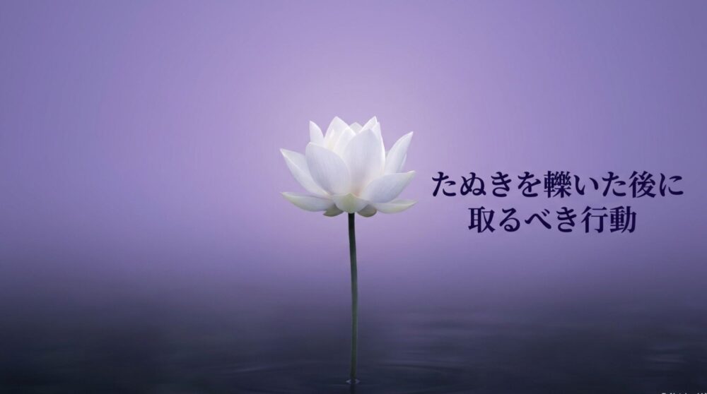 たぬきを轢いてしまった　スピリチュアル