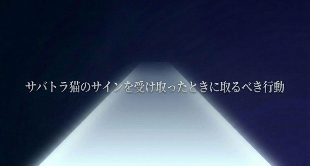 サバトラ猫　スピリチュアル　サイン